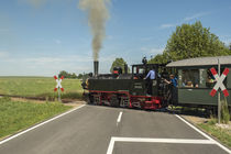 Mallet-Lokomotive 99633 | Öchsle-Bahn von Thomas Keller