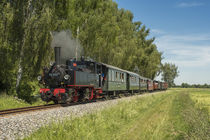 Mallet-Lokomotive 99633 | Öchsle-Bahn by Thomas Keller