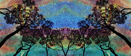Aurora-tree-symmetry-semicircle-a3-stars-sel-color
