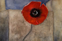 At the wall - red poppy by Chris Berger