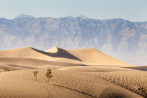 Death Valley von Florian Westermann