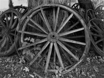 rustikale Holz-Wagenräder in schwarz/weiß von assy