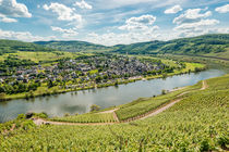 Mosel bei Pünderich 01 by Erhard Hess