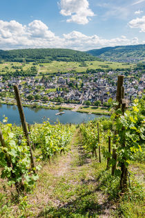 Mosel bei Pünderich 03 by Erhard Hess