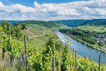 Mosel bei Pünderich 46 by Erhard Hess