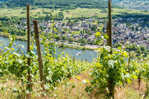 Mosel bei Pünderich 50 by Erhard Hess