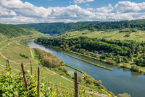 Mosel bei Pünderich 98 by Erhard Hess