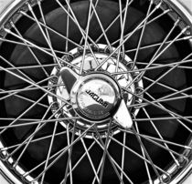 Speichen vom Jaguar-Reifen von assy