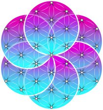 Flower of Life / Seed of Life by fraktalini