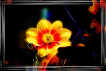 Neon - Flower by mario-s