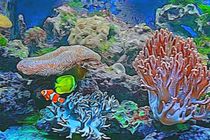Unterwasserwelt von mario-s