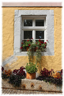 Altes Fenster by mario-s