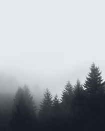 FOREST MIST by nordik