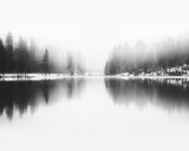 FOREST LAKE by nordik
