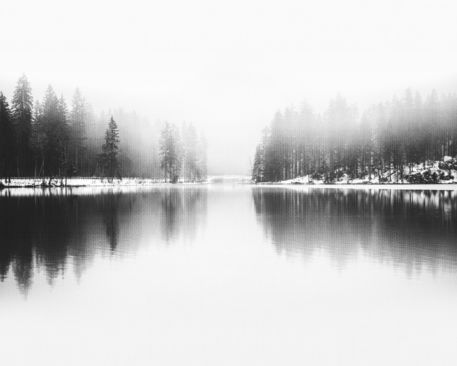 Forest-lake-01