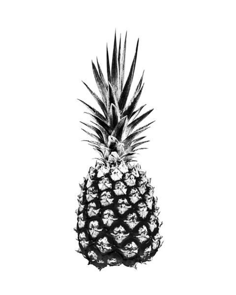 Pineapple-24x30
