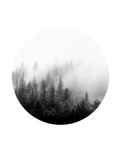 Forest-circle-01