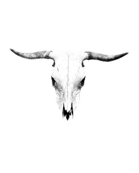 Bull-skull-24x30