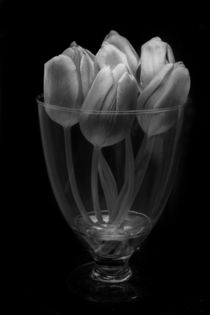 Tulpenvase  von Renee Söhner