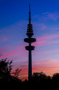 Hamburger Fernsehturm im Abendrot von Thomas Sonntag