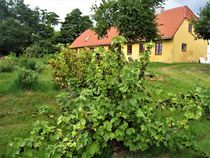 dänisches Bauernhaus von assy