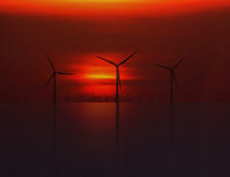 Windmills in the Sun by John Wain