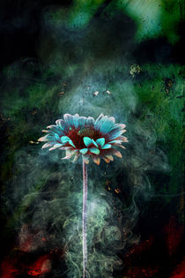 Flower-Power_v.a by Michael Golüke