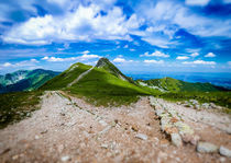 Beskid at Polish West Tatras in Summer by Tomas Gregor