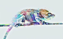 Fantastic Multicolor Chameleon by Elena Oglezneva