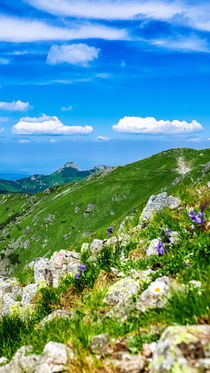 View on Giewont at Polish West Tatras in Summer by Tomas Gregor