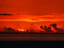 Florida Sunset von travel-sc