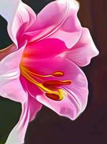 Lily (Digital Art) by John Wain