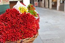 Chilibund auf einem Markt von Verena Geyer