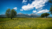 Landscape Under the Tatra Mountains by Tomas Gregor