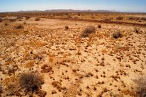 Mojave Wüste by Frank  Kimpfel