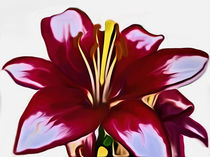Lily (Digital Art) von John Wain
