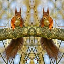 Eichhörnchen Zwillinge 2 von kattobello