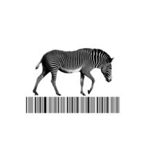 Zebra von cinema4design