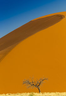 Namibian Sand Dunes by Maresa Pryor-Luzier