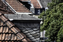 Dächer von Petra Dreiling-Schewe