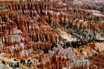 Bryce Canyon by Frank  Kimpfel
