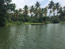 Backwaters von Sayali Goyal