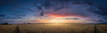 Field sunset Panorama by h3bo3