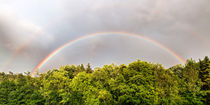 Rainbow - Regenbogen von Chris Berger