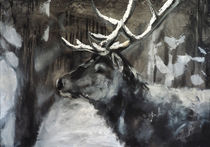 Hirsch im Schnee, deer  by Thomas Neumann