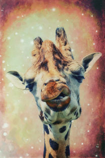 Die Giraffe by AD DESIGN Photo + PhotoArt