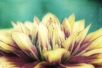 Flower Dream von AD DESIGN Photo + PhotoArt