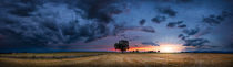 Field sunset Panorama by h3bo3