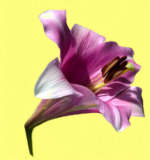 Lily (Abstract Digital Art) by John Wain