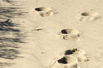 Footprints  by fraenks